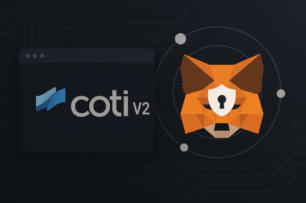 COTI V2 MetaMask Snap? What is it about?